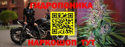 круглые Берёзовский