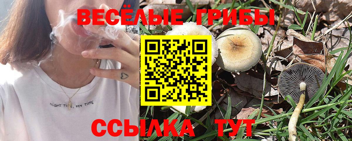 Псилоцибиновые грибы Cubensis  Галлюциногенные грибы мухоморы  Вход с VPN  Клин 